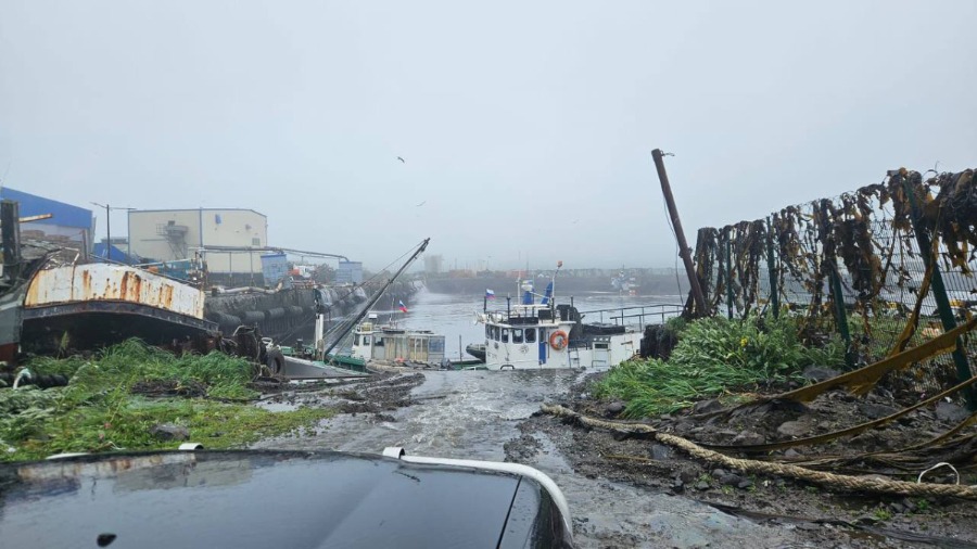 Tsunami golpea las islas Kuriles de Rusia