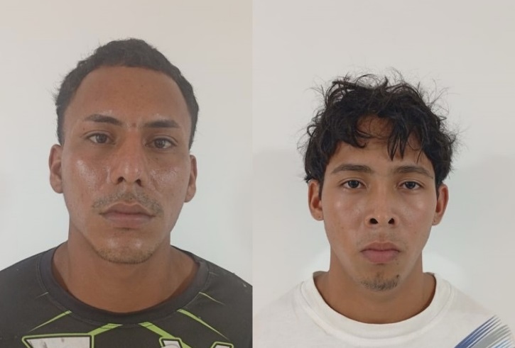 Detenidos por hurto de ganado