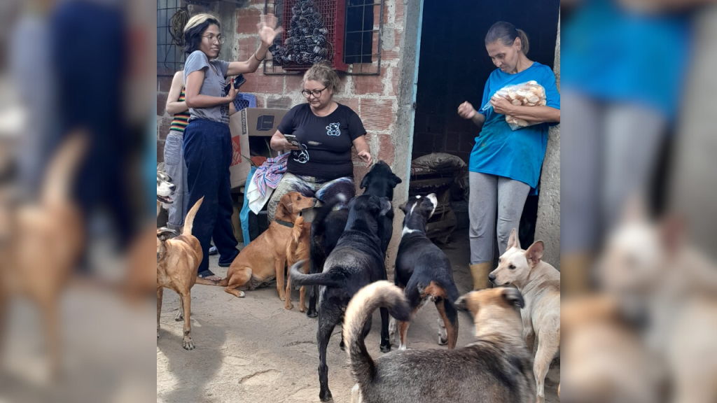Recogerán insumos para 81 perritos