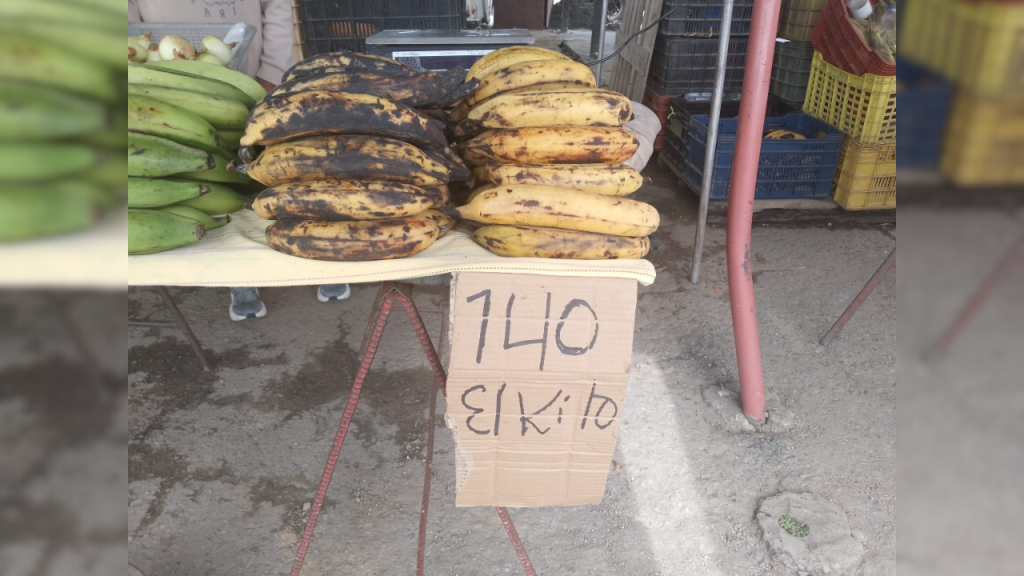 Preocupación por elevados costos de alimentos traídos de zona andina