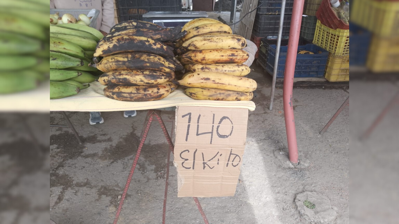 Preocupación por elevados costos de alimentos traídos de zona andina