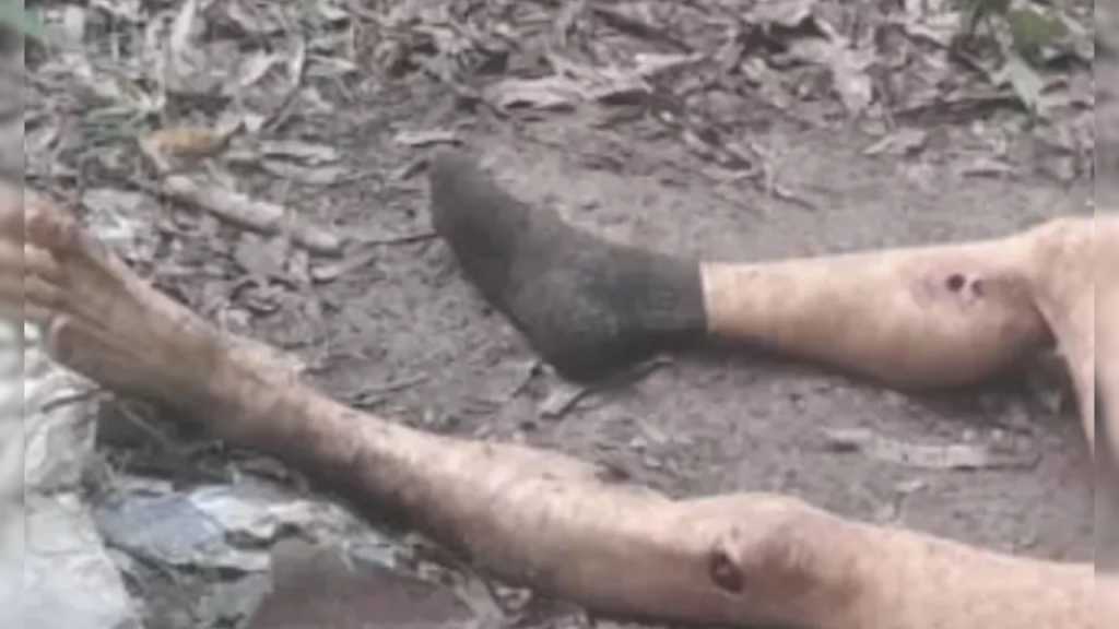 Hallan cadáver mutilado