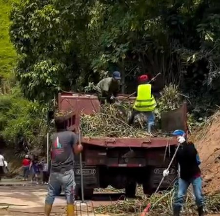 Avanza Plan de Mitigación de Riesgos