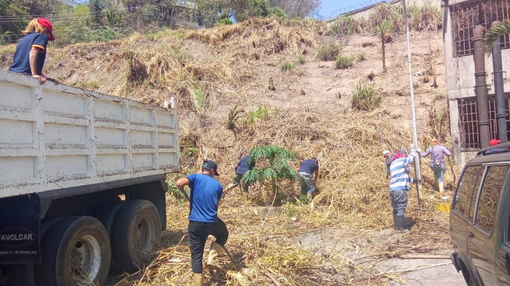 Cortan monte y limpian áreas en El Trigo