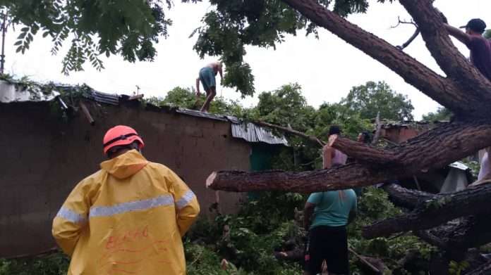 Reportan caída de árboles y crecidas de ríos por lluvias en Cumaná