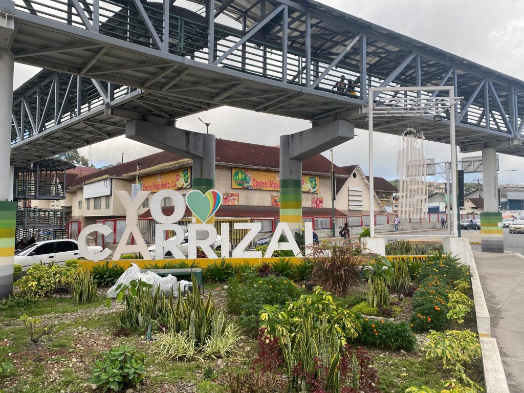 Alcaldía de Carrizal justifica poda de girasoles en Corralito