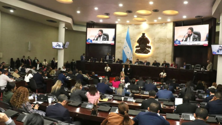 Bolivia: Congreso otorga nuevas facultades al CNE