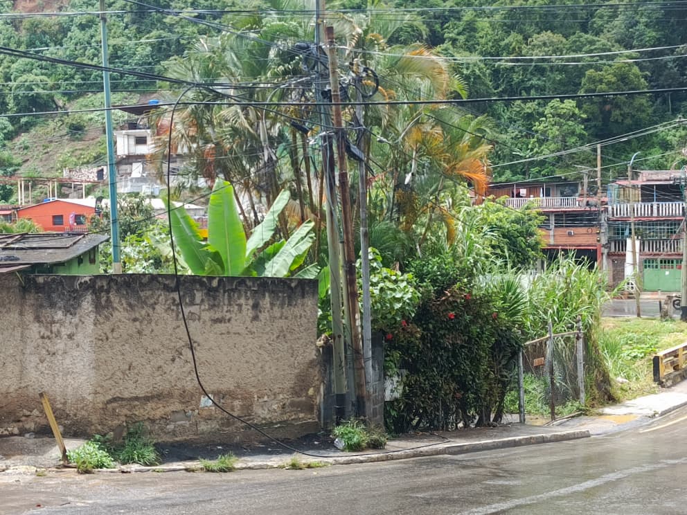 Cables caídos en el Mercado ya llevan una semana  