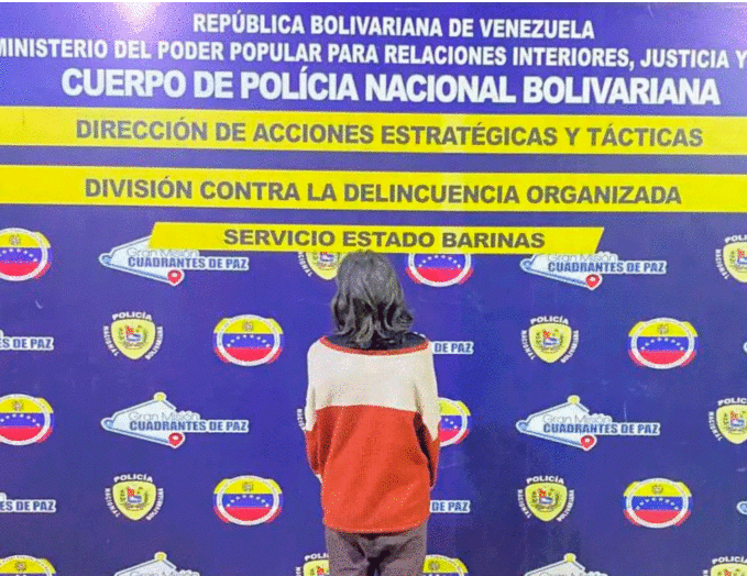 Detenida por matar a pedradas a un perro
