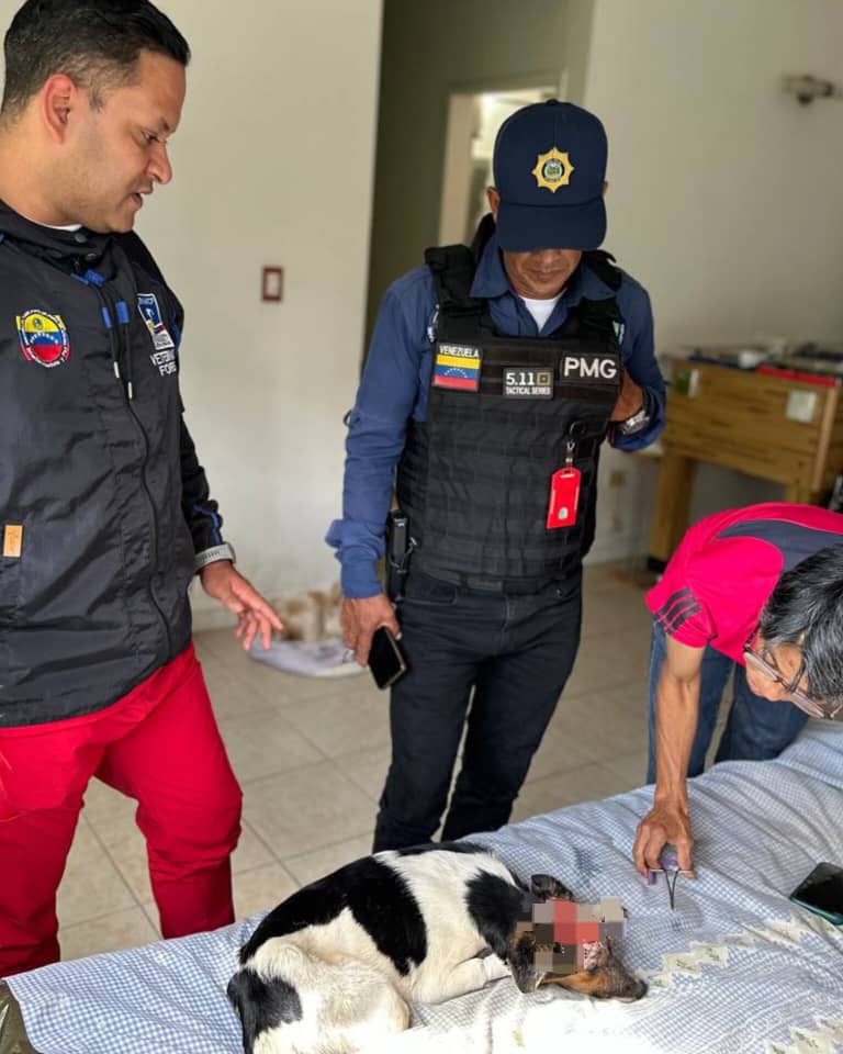 “Detectamos que no hubo maltrato”