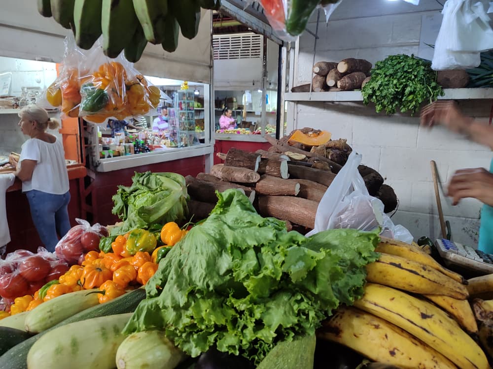 Verduras y hortalizas: las aliadas para economizar