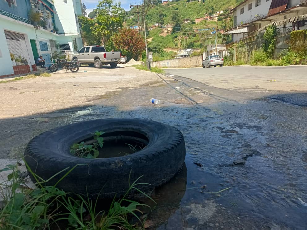 Reaparece fuga de aguas servidas en Camatagua