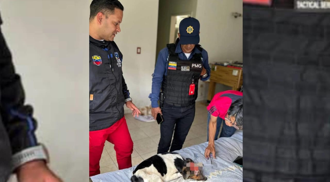 “Detectamos que no hubo maltrato”