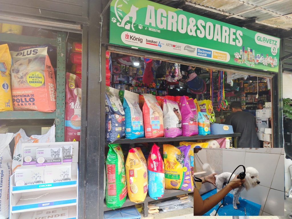 Prevén esterilizar 20 perros y gatos en nueva jornada
