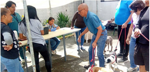95 gatos y perros reciben atención veterinaria