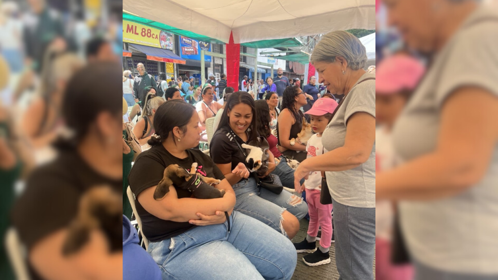 Ofrecen atención veterinaria a 240 mascotas en Los Teques