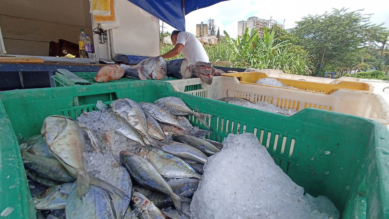 El pescado es una alternativa ante elevados costos de la carne
