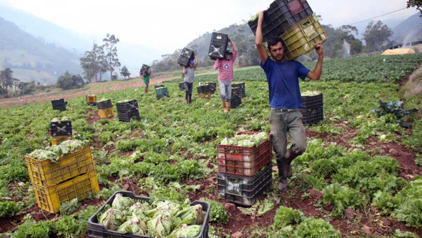 Pésimas vías retrasan distribución de hortalizas