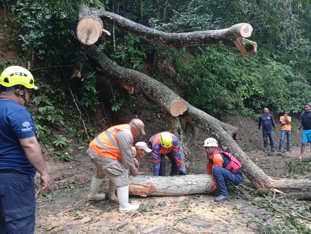 Plan de contingencia en Ocumare de la Costa