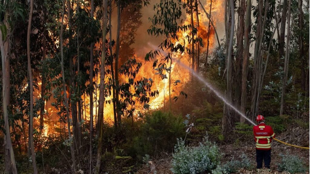 Más de 350 bomberos combaten un incendio en Portugal