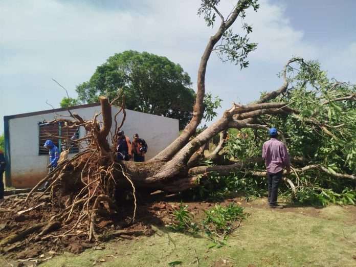 20 viviendas afectadas por ráfagas de viento en Cojedes