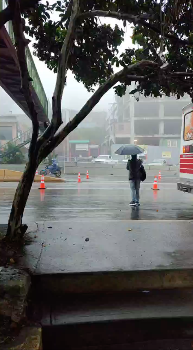 Peatones desafían el peligro al cruzar la Panamericana