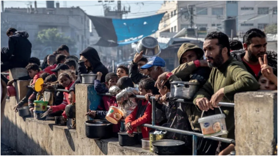 Gaza: Hambruna deja más de 180 fallecidos y miles de desnutridos