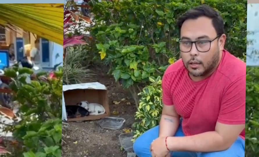 Laya denuncia abandono de perros en la Panamericana