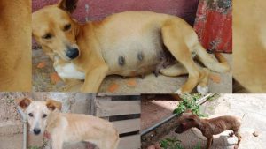 WhatsApp Image 2025-09-30 at 5.43.00 PM