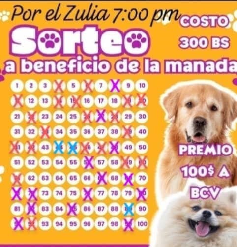 Realizan rifa para alimentar a 58 animales de un refugio