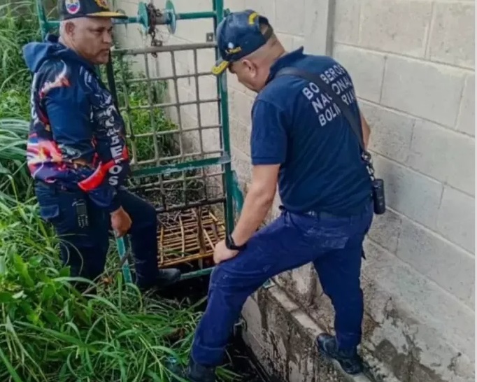 Hallan muerta a vocera comunal