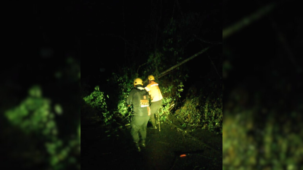 Árboles caídos y un derrumbe deja aguacero en Los Salias