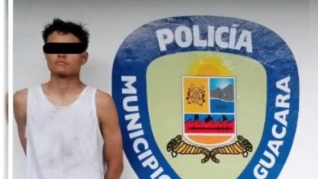 Detenido por ultraje y lesiones a un funcionario