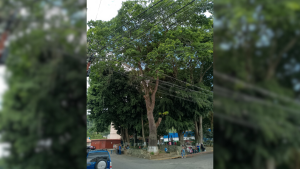 para fotos de la web - 2025-09-21T160804.708