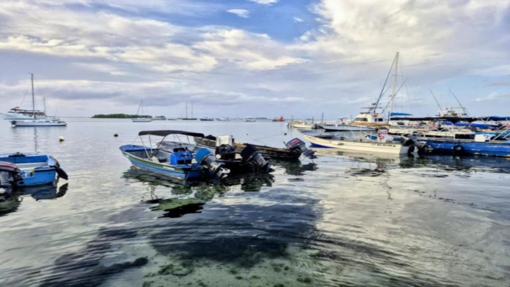 Pescadores colombianos manifiestan temor por operación de EE.UU en el Caribe