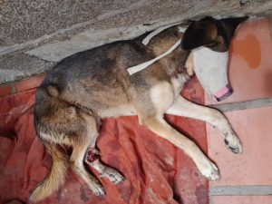 WhatsApp Image 2025-09-30 at 17.25.02