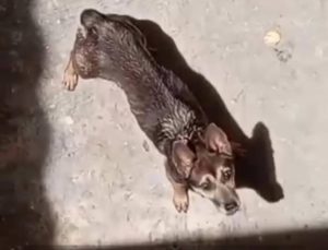 WhatsApp Image 2025-10-06 at 13.47.43