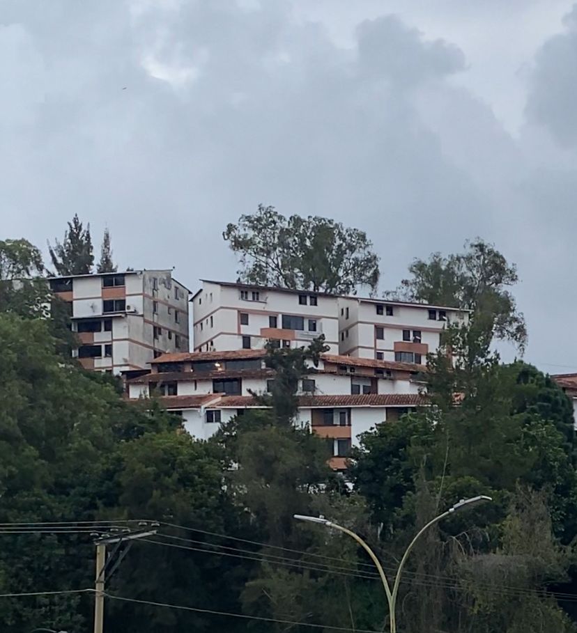 Una mujer casi mata a su propia madre