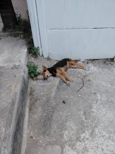 WhatsApp Image 2025-10-10 at 15.41.25