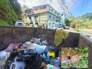 WhatsApp Image 2025-10-12 at 12.47.17