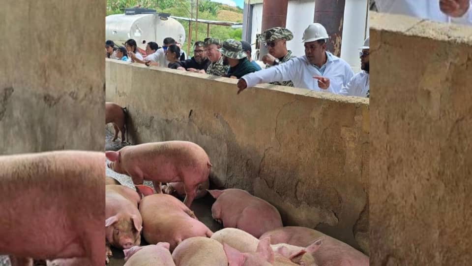 Autoridades fiscalizan mataderos en los Altos