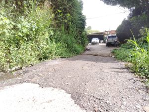 WhatsApp Image 2025-10-21 at 12.00.16