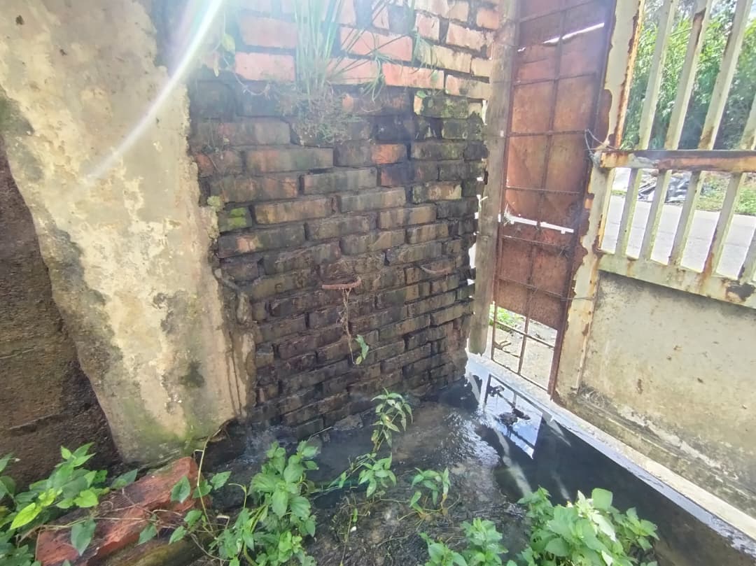 Temen colapso de muro