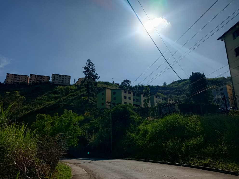 Colocarán cuatro paradas en Alto Verde