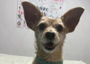 WhatsApp Image 2025-10-29 at 6.18.53 PM