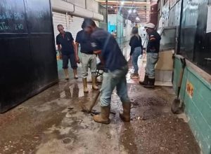 b21a0264-25f1-45cc-9ebb-caff380442ce