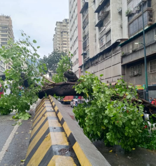Autoridades alertas por lluvias en Miranda