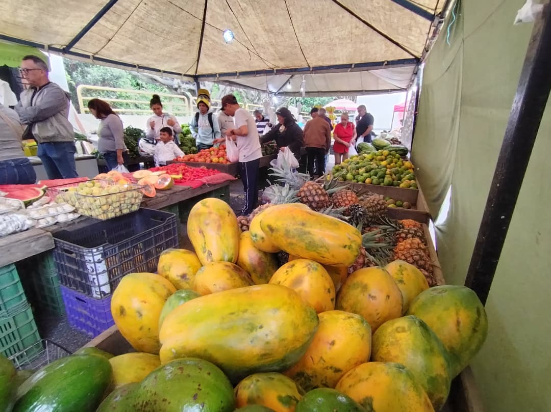 Mercadito de Los Salias acumula 11 años