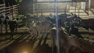 para fotos de la web (19)