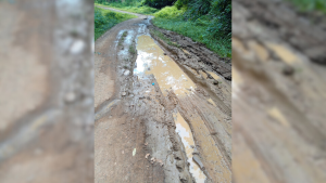 para fotos de la web - 2025-10-09T145050.266